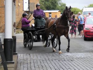 Annual Charity Carriage